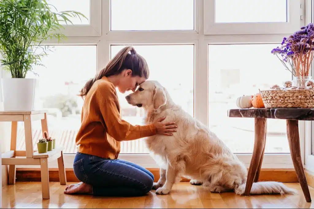 Selecting the ideal pet-friendly rehab center for addiction recovery with your pet.