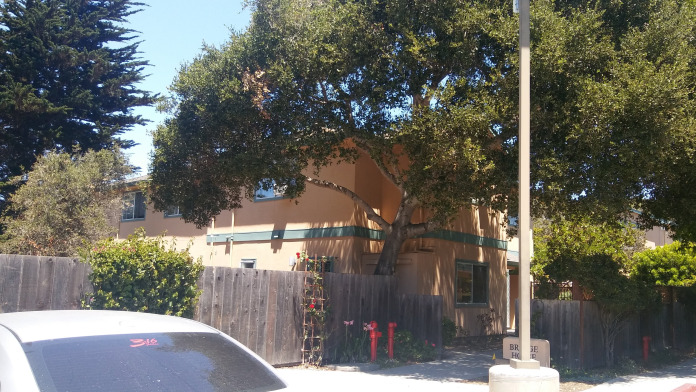 Bridge House