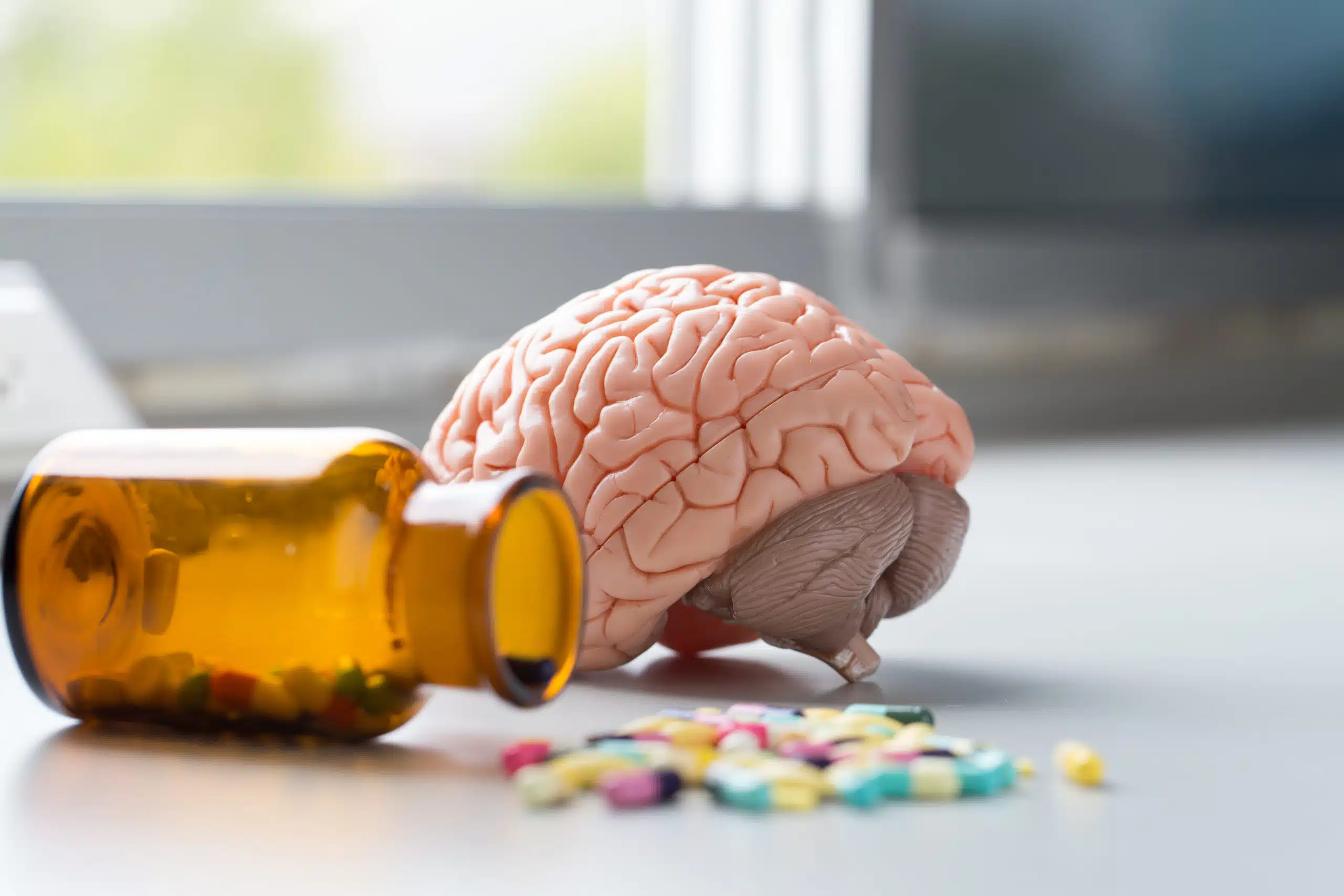 Brain is affected by drug addiction, including the reward system, prefrontal cortex, and limbic system.