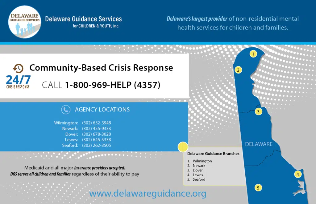 Delaware Guidance Services - Seaford, DE
