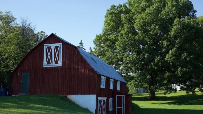 New Life Girls Ranch