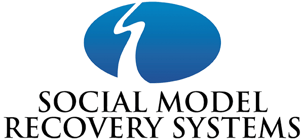 Social Model Recovery Systems