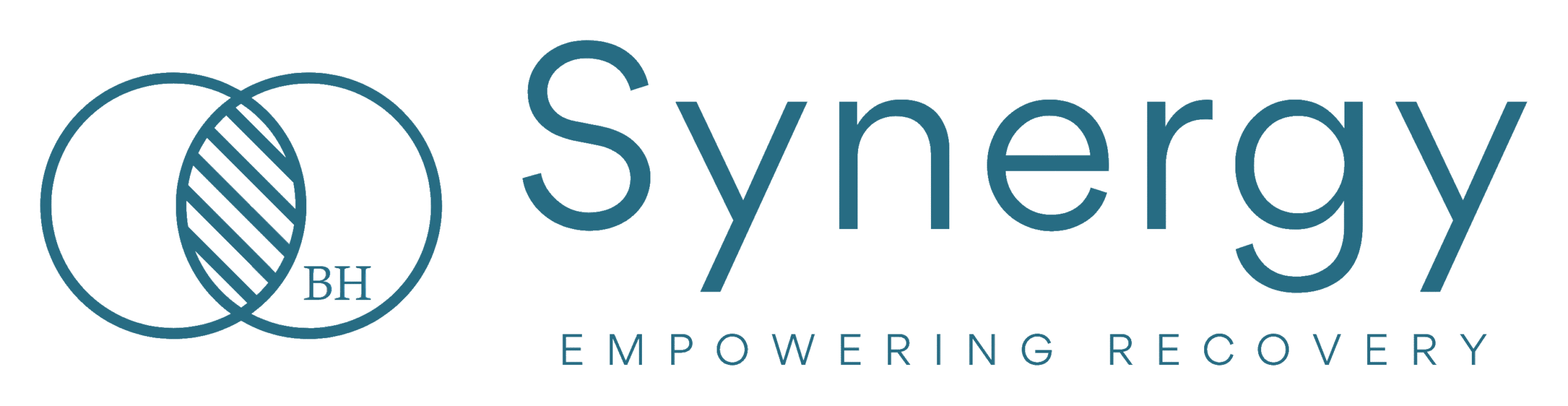 Synergy Empowering Recovery