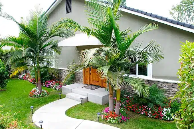 The Discovery House