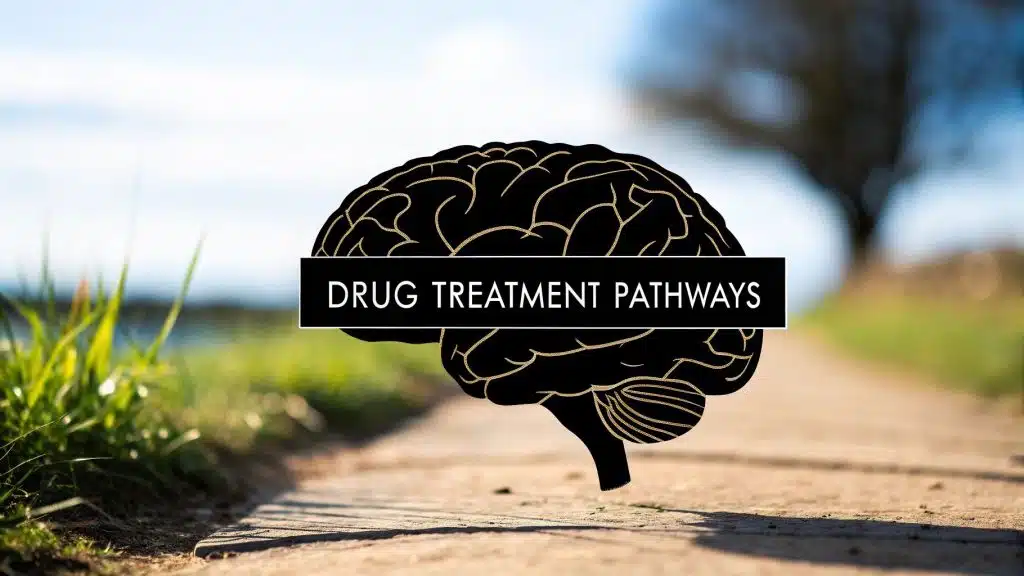 Cover image for “Your Guide to Drug and Treatment Pathways,” providing information on addiction treatment options and recovery programs