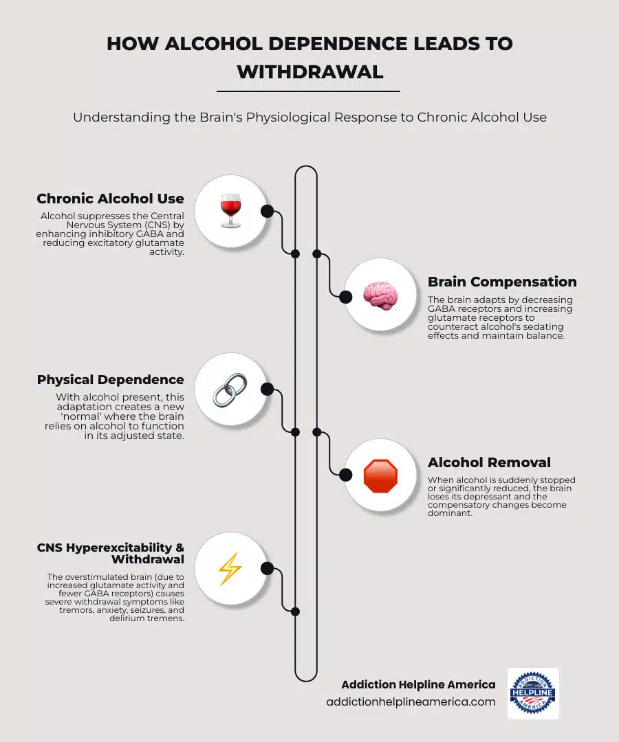 Infographic showing the progression of alcohol dependence in the brain: Regular heavy drinking suppresses the central nervous system through enhanced GABA activity and reduced glutamate activity. Over time, the brain compensates by decreasing GABA receptors and increasing glutamate receptors to maintain balance. When alcohol is suddenly removed, this leads to CNS hyperexcitability, causing withdrawal symptoms ranging from anxiety and tremors to seizures and delirium tremens. - Alcohol Detox infographic infographic-line-5-steps-elegant_beige