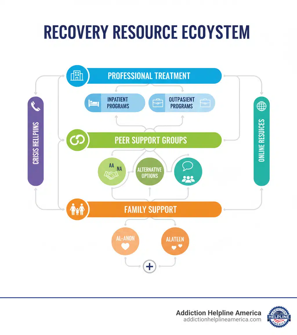infographic showing the recovery resource ecosystem with three main pathways: professional treatment centers at the top leading to inpatient and outpatient programs, peer support groups in the middle showing AA NA and alternative options, and family support at the bottom with Al-Anon and Alateen, all connected to crisis helplines and online resources on the sides - Helpful Links and Resources for drug rehab and aa/ na meetings and al anon infographic