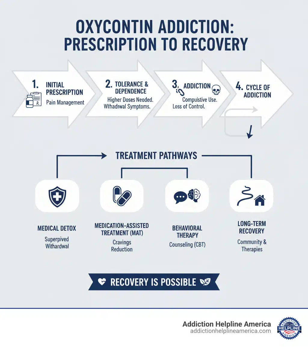 Infographic showing the progression of OxyContin addiction from initial prescription through tolerance development, physical dependence, and addiction, with treatment pathways including detox, medication-assisted treatment, behavioral therapy, and long-term recovery support - Oxycontin Addiction Treatment infographic