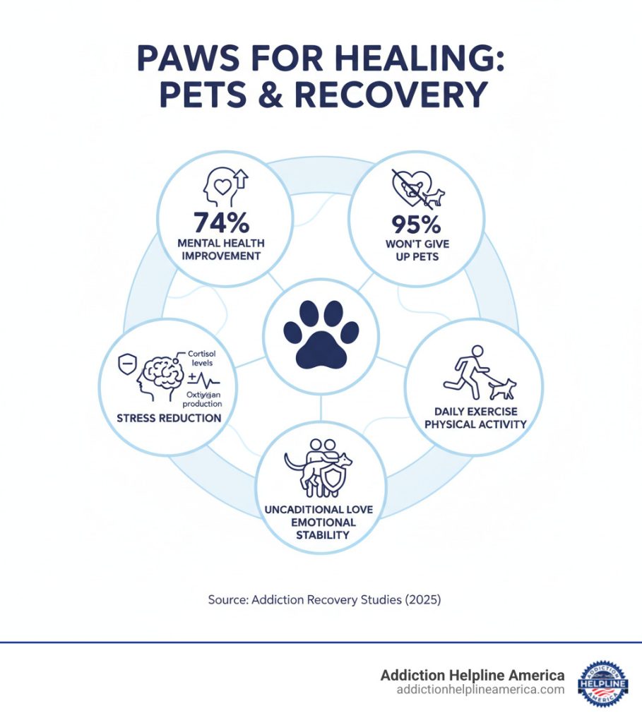 Infographic showing mental health benefits of pet ownership during addiction recovery, featuring statistics: 74% report mental health improvement from pets, 95% won't give up pets, pets reduce cortisol levels and increase oxytocin production, daily exercise requirements promote physical activity, and unconditional love provides emotional stability during treatment - pet friendly alcohol and drug rehab infographic 