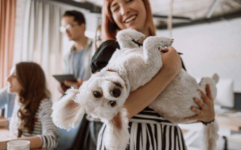 pet friendly sober living