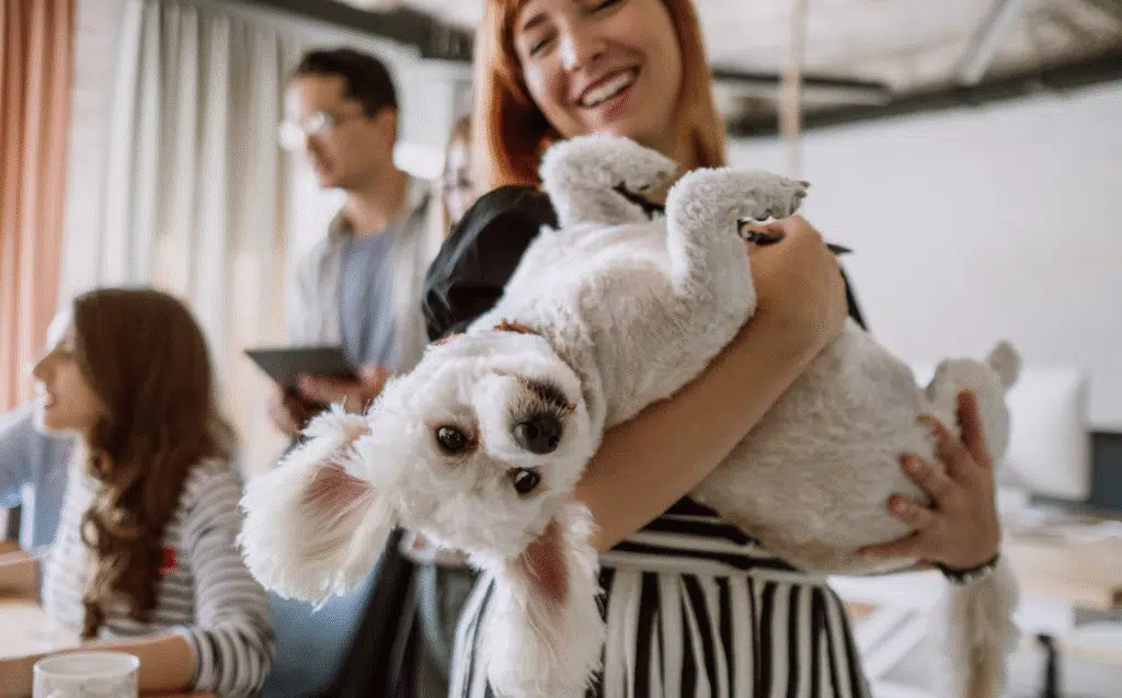 pet friendly sober living