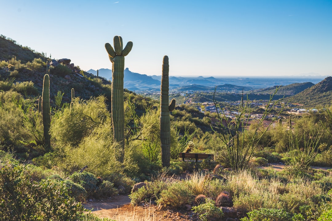 scottsdale-rehab-centers-image Scottsdale rehab centers