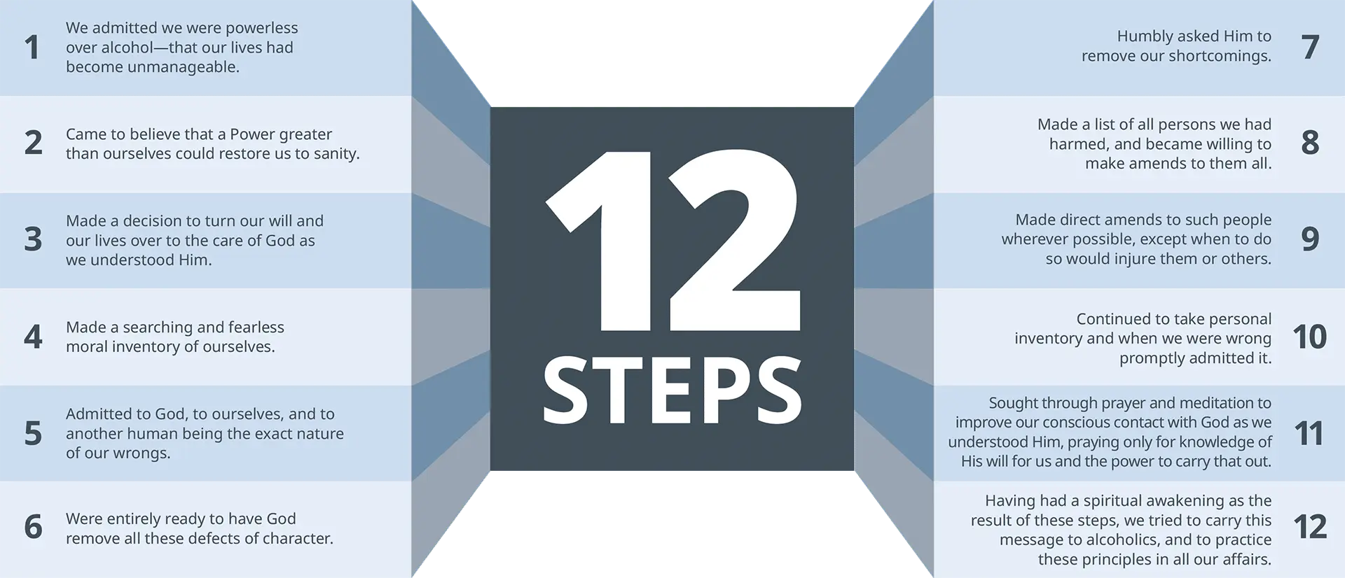 12 step program support
