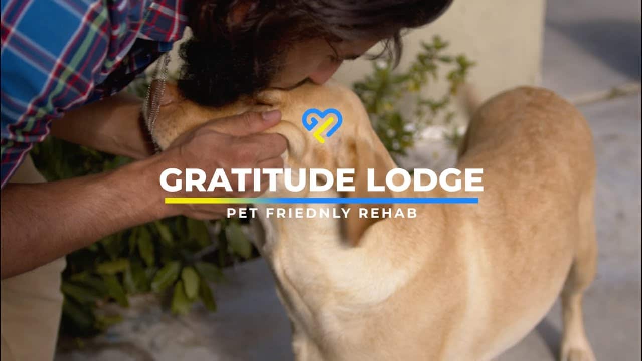 Pet friendly rehab