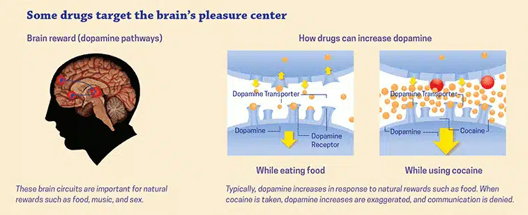 illustration of the brain's response to substance withdrawal - drug detox treatment centers illustration of the brain's response to substance withdrawal - drug detox treatment centers