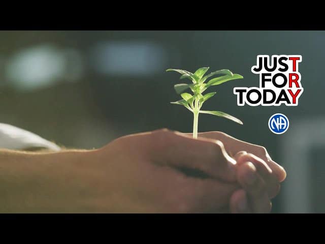 hands holding a sprouting plant - 40 Prayers for Addiction Recovery hands holding a sprouting plant - 40 Prayers for Addiction Recovery