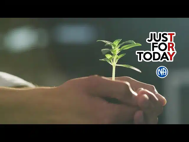 hands holding a sprouting plant - 40 Prayers for Addiction Recovery hands holding a sprouting plant - 40 Prayers for Addiction Recovery