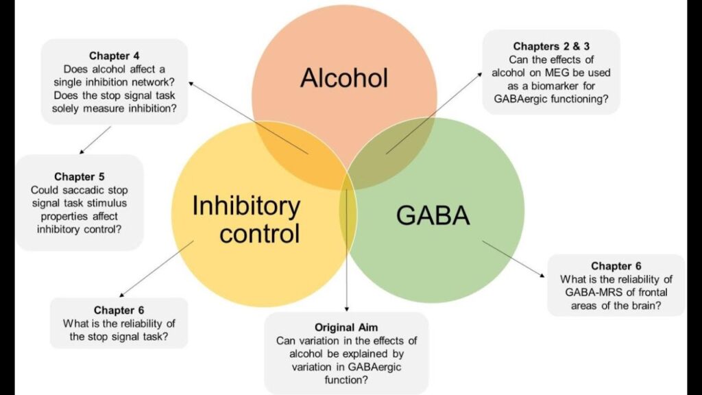 Illustration of neurotransmitters in the brain, showing how alcohol disrupts the balance of GABA and glutamate, leading to overstimulation during withdrawal. - detox for alcohol