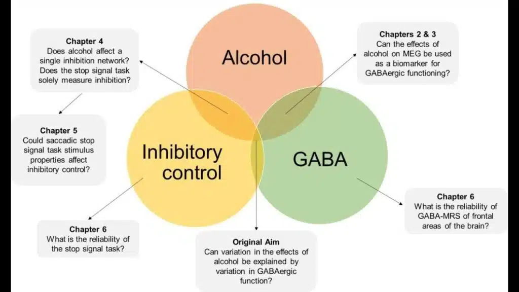Illustration of neurotransmitters in the brain, showing how alcohol disrupts the balance of GABA and glutamate, leading to overstimulation during withdrawal. - detox for alcohol Illustration of neurotransmitters in the brain, showing how alcohol disrupts the balance of GABA and glutamate, leading to overstimulation during withdrawal. - detox for alcohol