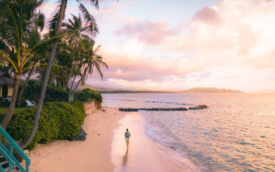 Professional addiction help