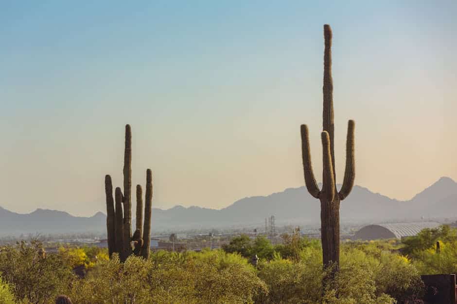 rehab in Scottsdale AZ