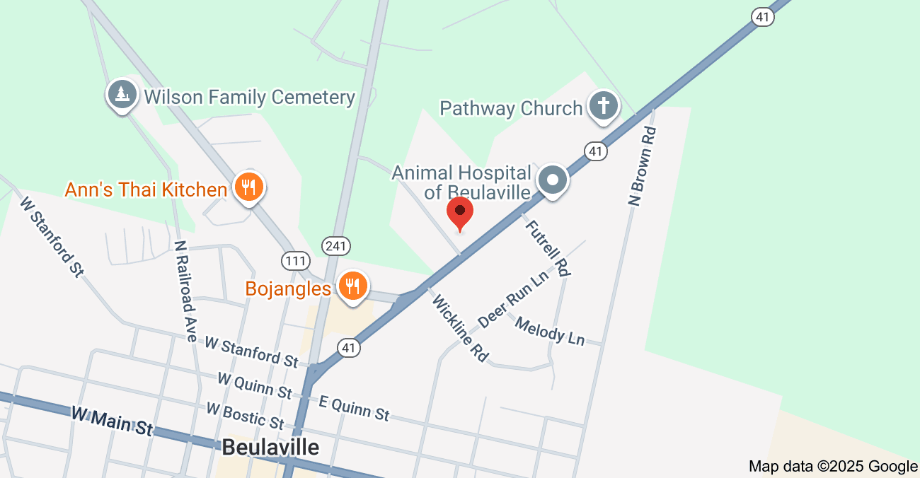 Tar Heel Human Services