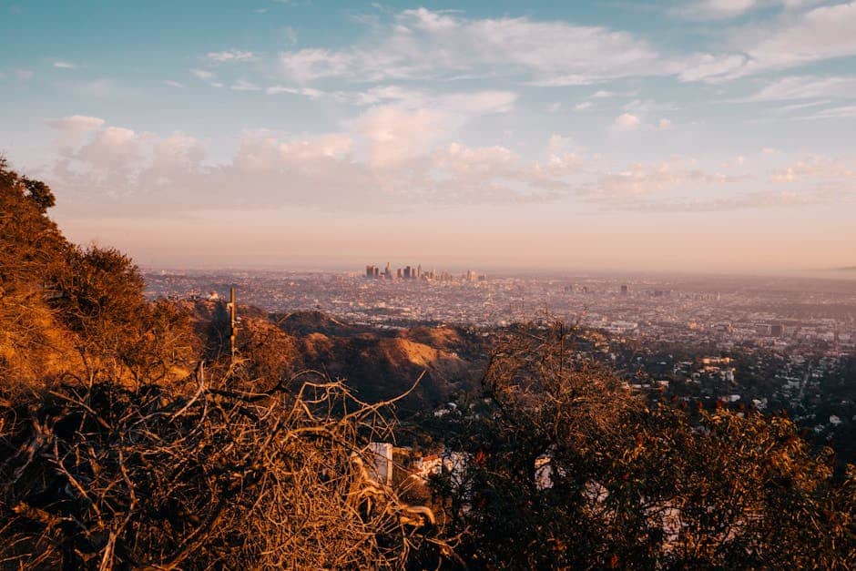 drug rehab los angeles