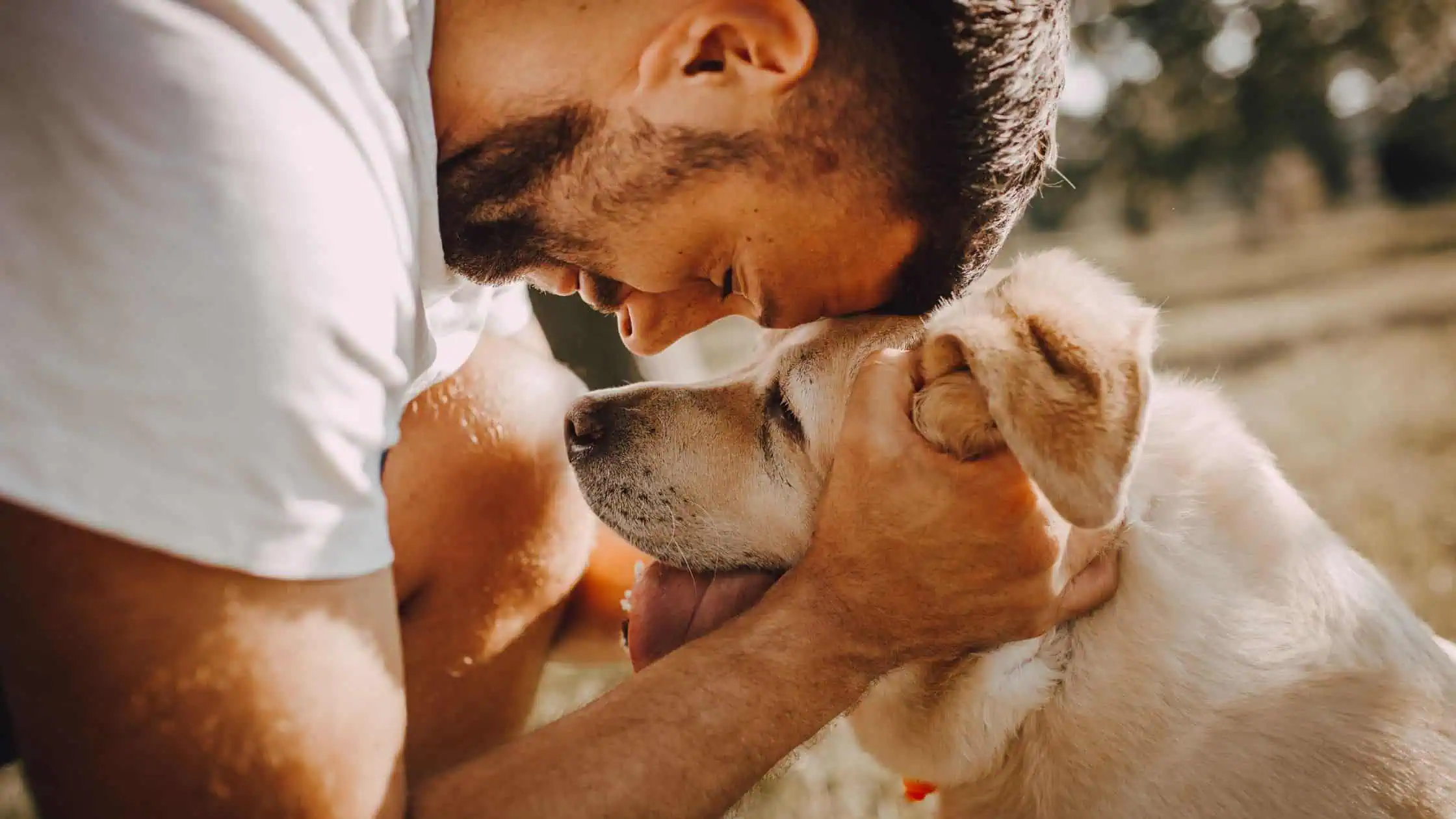 Beyond Basic Discovering Pet-Friendly Luxury Addiction Treatment Beyond Basic Discovering Pet-Friendly Luxury Addiction Treatment