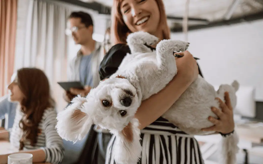 drug rehabs that allow pets