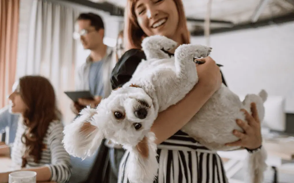 pet friendly inpatient depression