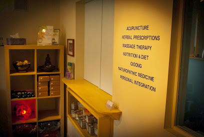 Live Well Upstate: Acupuncture and Natural Medicine - Treatment Center in Elmira, New York