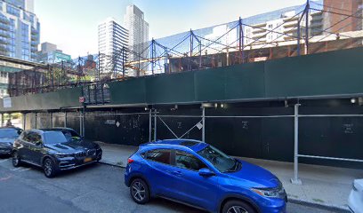 Icelini Garcia-Sosa, MD - Treatment Center in Long Island City, New York